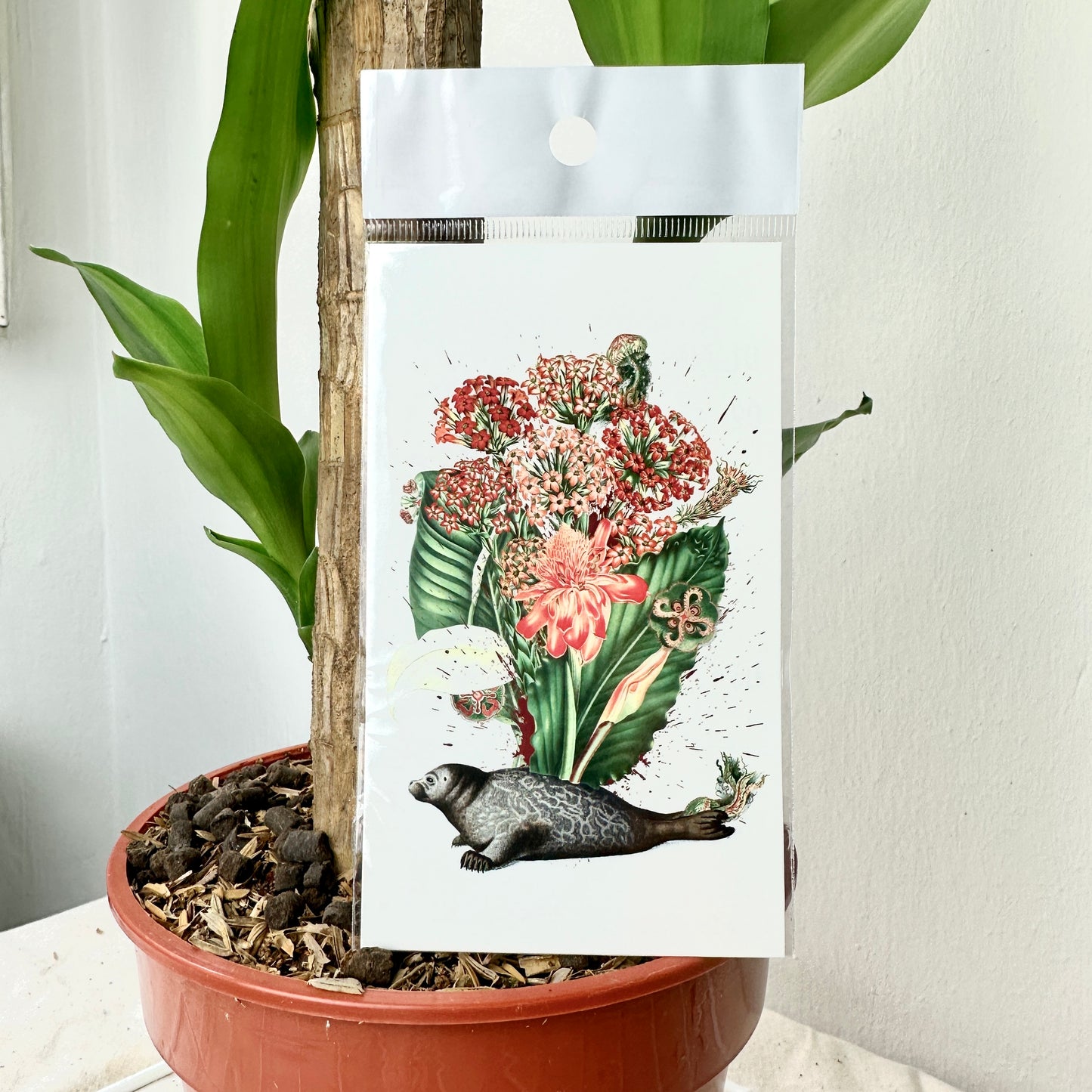 Seal - Opportunity | 12cm x 7cm