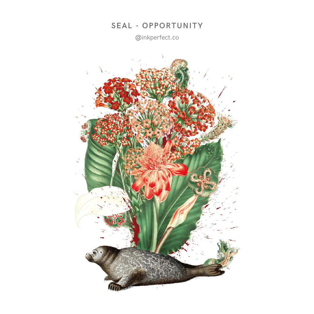 Seal - Opportunity | 12cm x 7cm