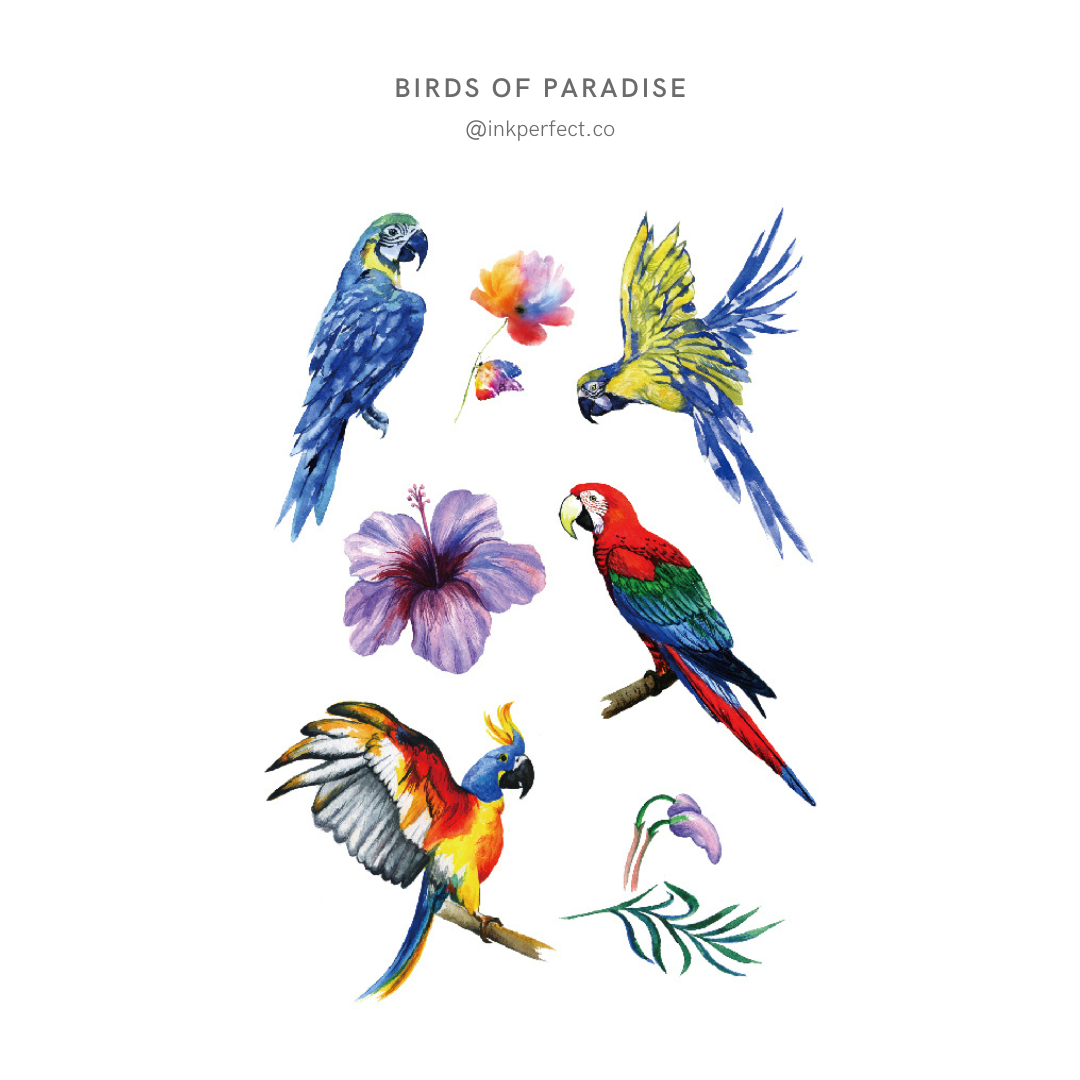 Birds of Paradise | 12cm x 7cm