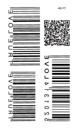 Barcodes | Palm-size temporary tattoo